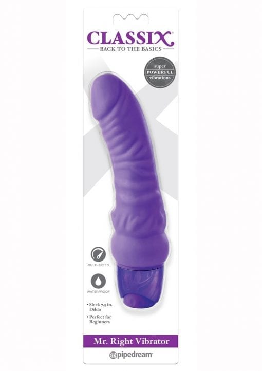 Mr Right Vibrator Purple Waterproof Multi Speed