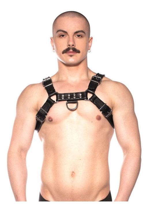 Prowler Red Bull Harness Black Xlarge