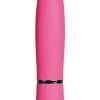 Taking Care Of Business Bullet Waterproof Pink
