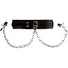 Sportsheets Collar With Nipple Clamps