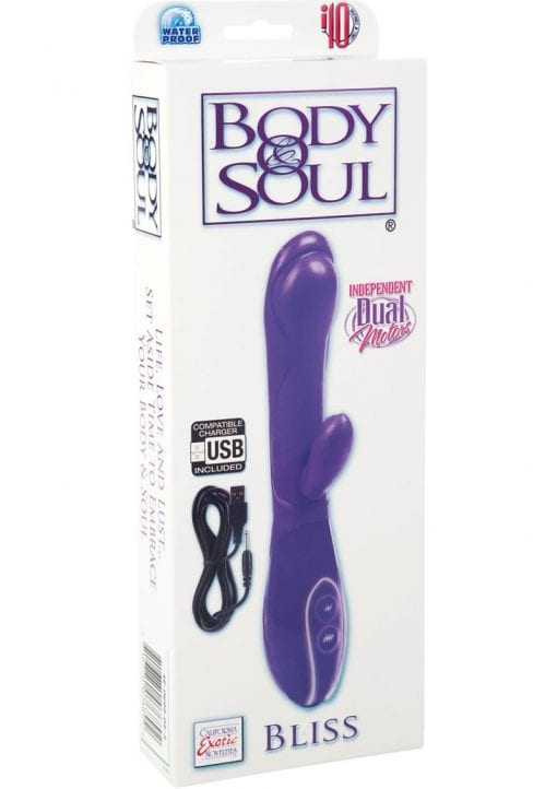 Body and Soul Bliss Rechargeable Dual Vibe Waterproof Purple 3.75 Inch