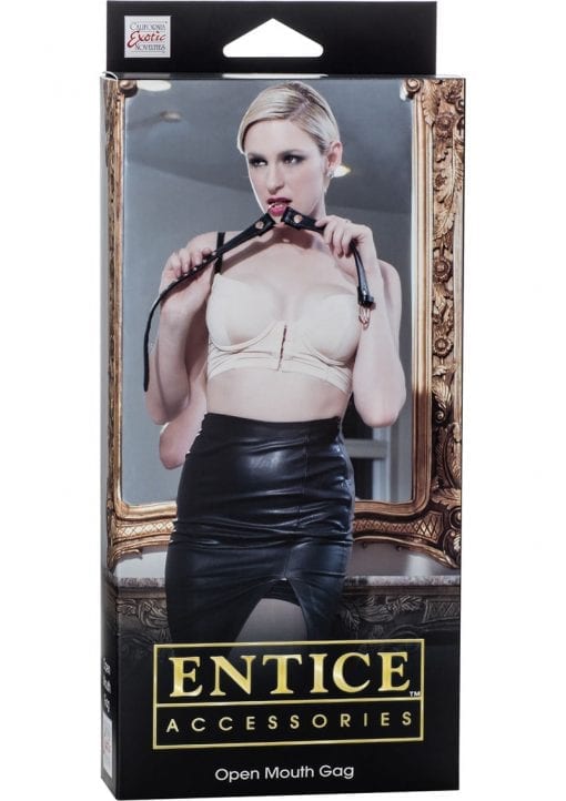 Entice Accessories Open Mouth Gag