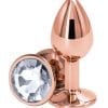Rear Assets Rose Gold Small Clear