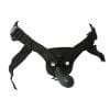 Sportsheets Everlaster Stud Strap-On Adjustable Harness - Black