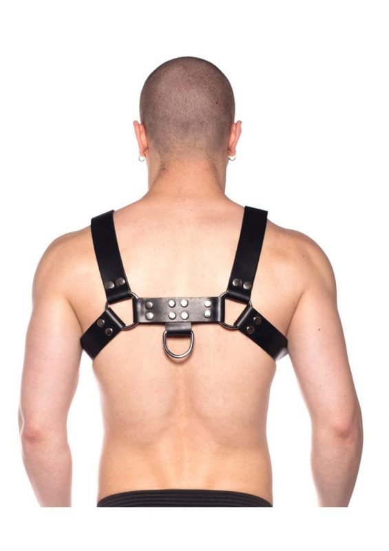 Prowler Red Bull Harness - 2XLarge - Black/Silver