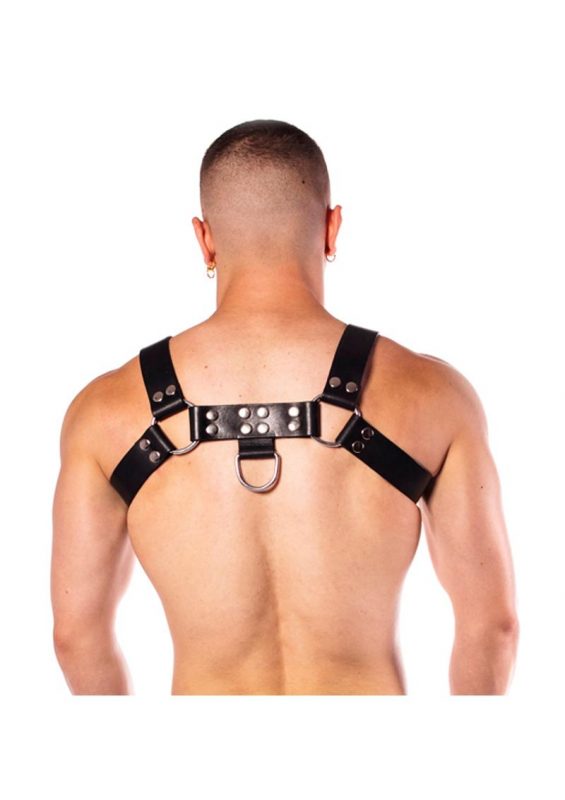 Prowler Red Butch Harness Premium - 2XLarge - Black