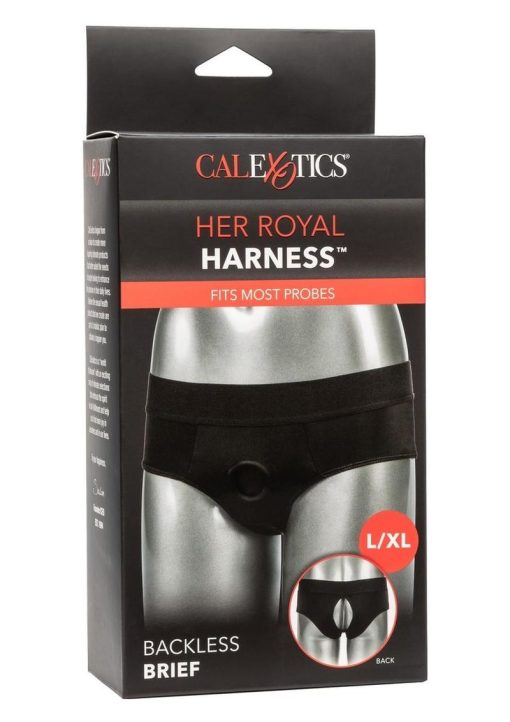 Her Royal Harness Backless Brief - Large/XLarge - Black