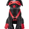 Prowler RED Booted Up Bandit - Black/Red