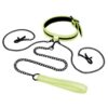 WhipSmart Glow in the Dark Collar with Nipple Clips and Leash - Green