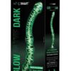 Whipsmart Dual Ended Beaded Glass Dildo 6.5in - Clear