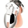 Blue Line Cock Humiliation Chastity Cage Small 2.75in - Stainless Steel