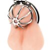 Blue Line Little Cock Chastity Cage - Stainless Steel
