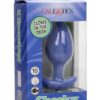Cheeky Rechargeable Silicone Glow in The Dark Butt Plug - Large - Blue