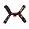 Rouge Leather Over The Head Harness Black with Red Accessories - Small