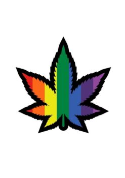 Marijuana Leaf Rainbow Enamel Pin - Multicolor