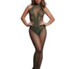 Le Desir Fishnet and Lace Bodystocking - O/S - Green