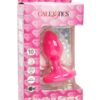 Cheeky Gems Rechargeable Silicone Vibrating Plug - Medium - Pink