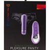 Pleasure Panty Wireless Remote Control Silicone USB Rechargeable Bullet Waterproof Purple - Image 2