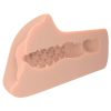 PDX Plus Perfect Pussy Dream Stroker - Vanilla