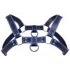 Master Series Bulldog Harness - Blue